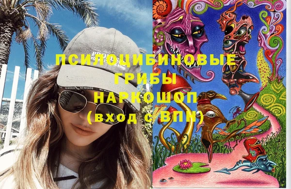 apvp Горно-Алтайск