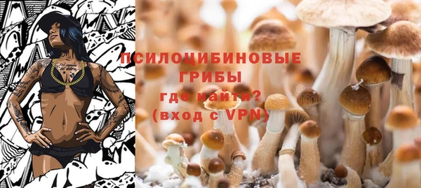 первитин Горнозаводск
