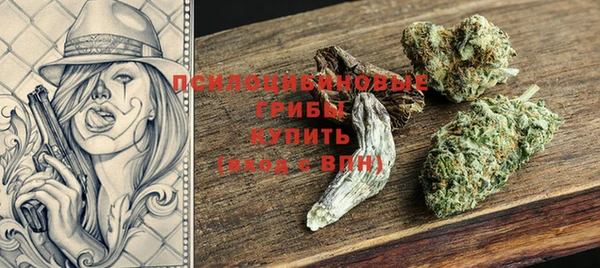 apvp Горно-Алтайск