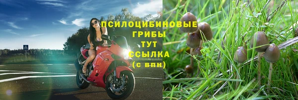 apvp Горно-Алтайск