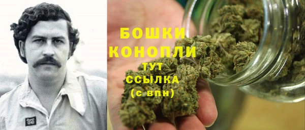 2c-b Горняк