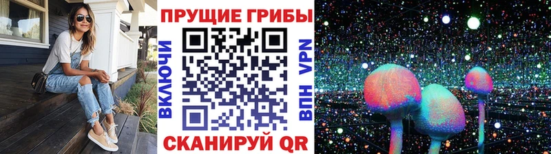 Псилоцибиновые грибы Magic Shrooms Купить где Морозовск